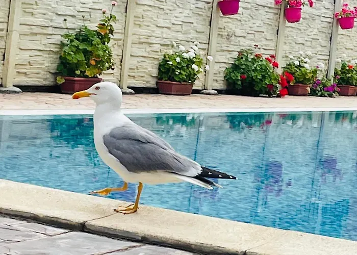 Apartament Blue Marine - Daneli Słoneczny Brzeg