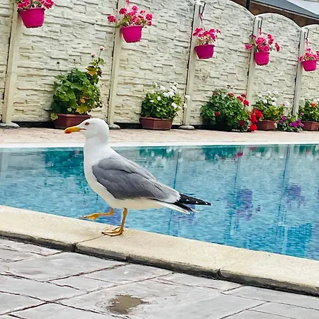 Apartament Blue Marine - Daneli Sunny Beach